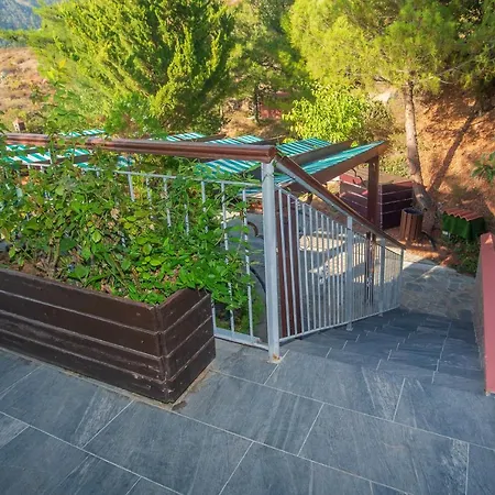 Villa Nausica By Agroholidays Foini