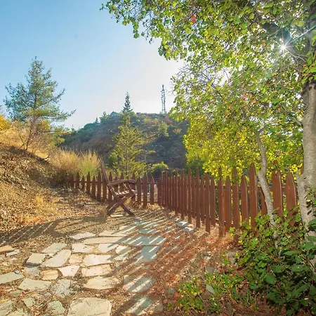 Villa Nausica By Agroholidays Foini